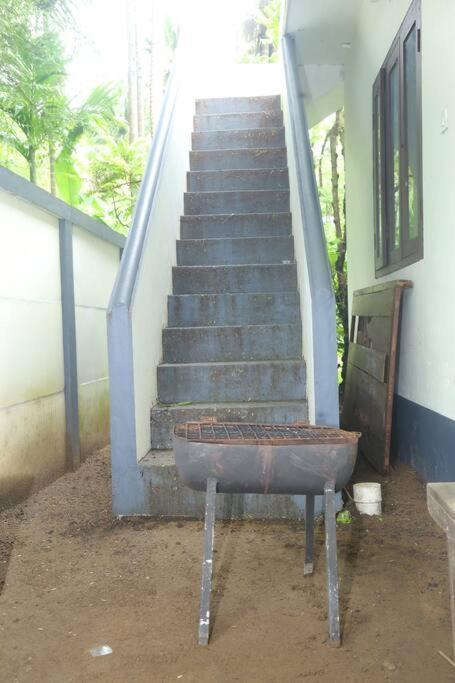 Forestay -3 Bhk Kochi